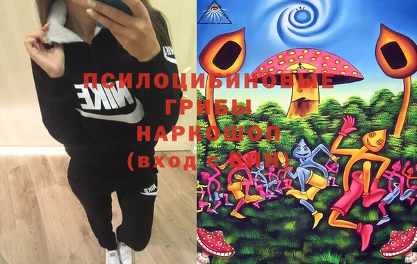 мяу мяу мука Баксан