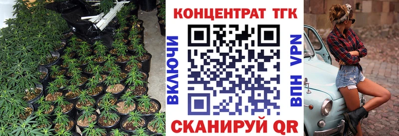 ОМГ ОМГ tor  Снежногорск  ТГК THC oil 