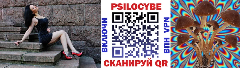 что такое наркотик  Снежногорск  Галлюциногенные грибы Psilocybine cubensis 